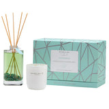 BRAMBLE BAY CO Crystal Infusions Gift Set Amazonite