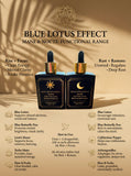 BLUE LOTUS EFFECT Mane & Nocte Functional Range set of 2