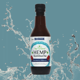 Hemp Kombucha 350ml