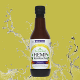 Hemp Kombucha 350ml