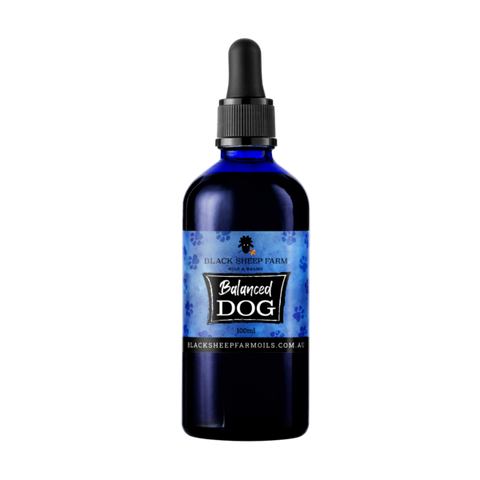 BLACK SHEEP FARM Balanced Dog 100ml