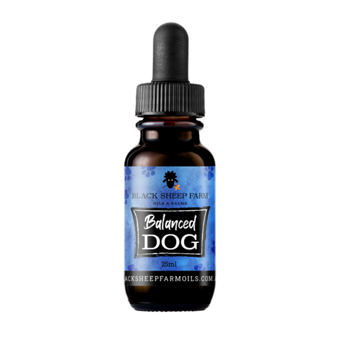 BLACK SHEEP FARM Balanced Dog 25ml