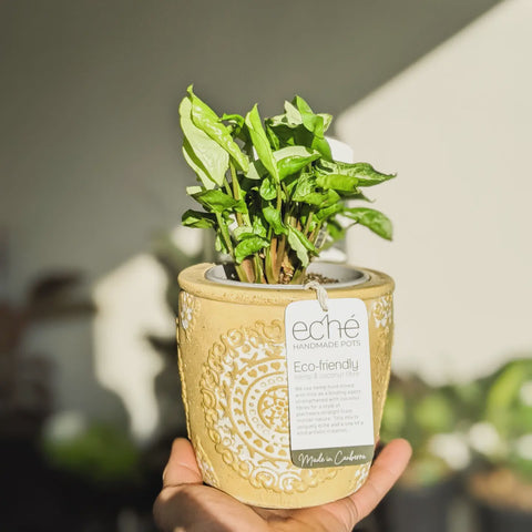 ECHE POTS Old Style Pot - Hemp & Coconut Fibre