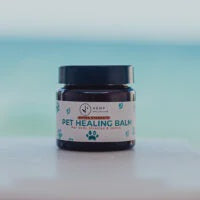 HEMP COLLECTIVE Extra Strength Pet Healing Balm 30g