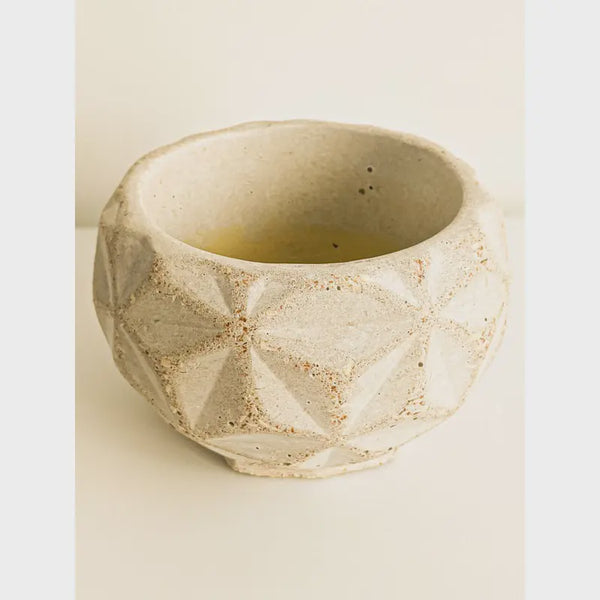 ECHE POTS Eco-friendly Dino Pot (Large) Hemp & Coconut Fibre