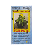 INSECT GLUE TRAP for pots 8 pack