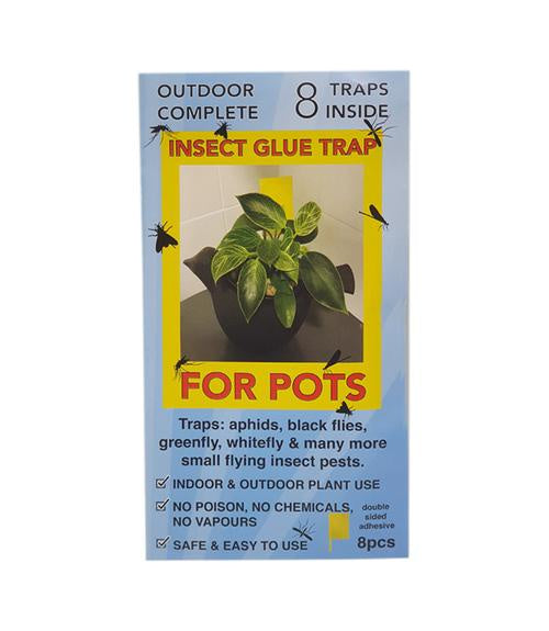 INSECT GLUE TRAP for pots 8 pack