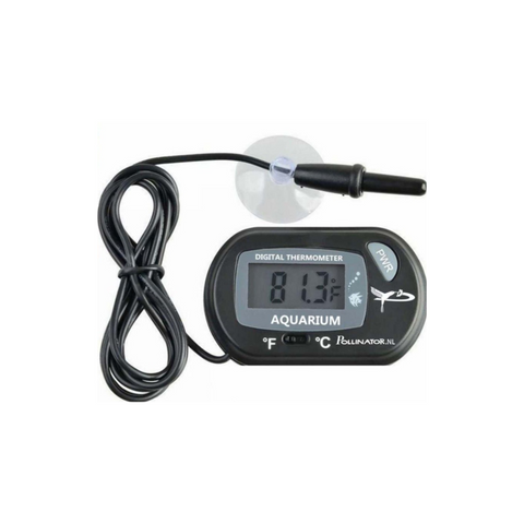 POLLINATOR Digital Thermometer